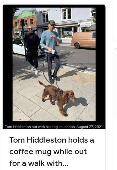 Tom Hiddleston walking his dog