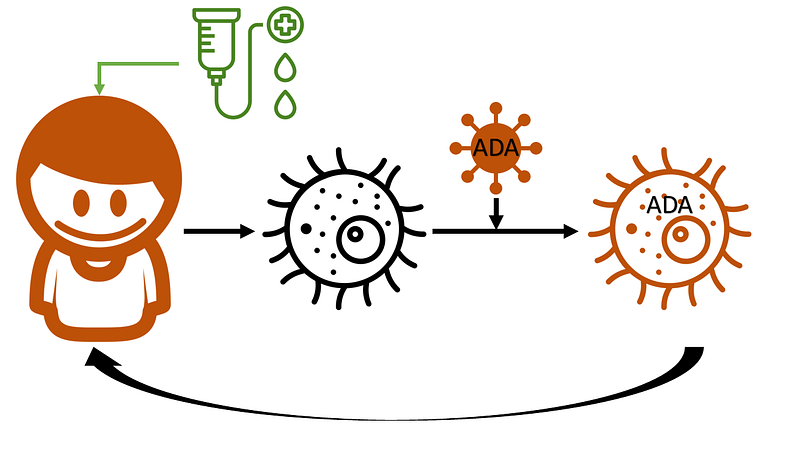 Immune recovery post-gene therapy