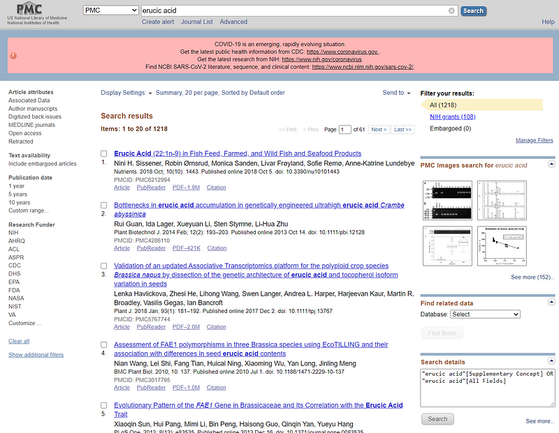 Google Scholar Interface