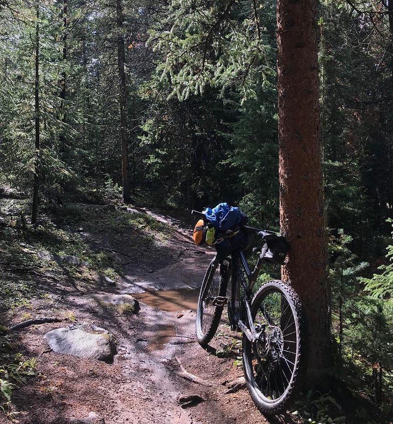 Aftermath of rainy days on the Colorado Trail