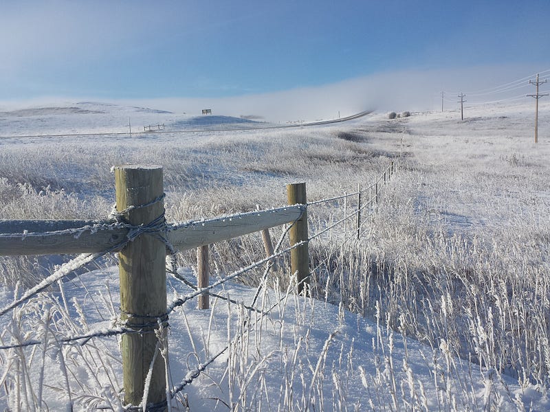 Admiring frost in Montana