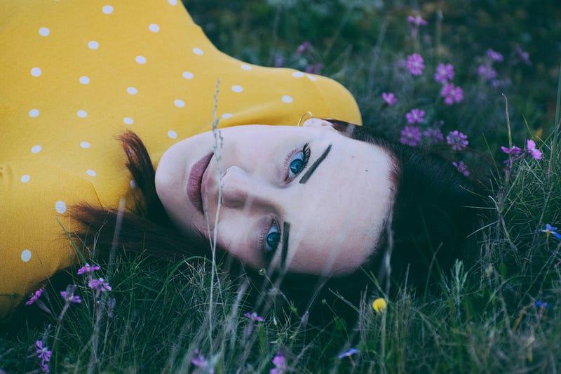 Wildflowers in a sunny meadow