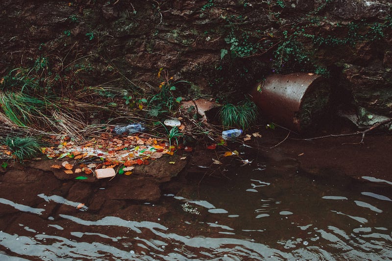 Polluted water bodies