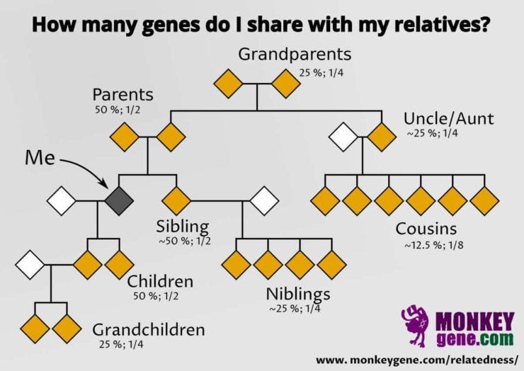 Genetic relationships among family members