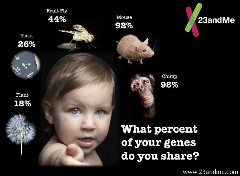 Genetic similarity between species