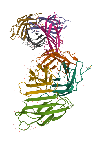 Structure of irisin protein