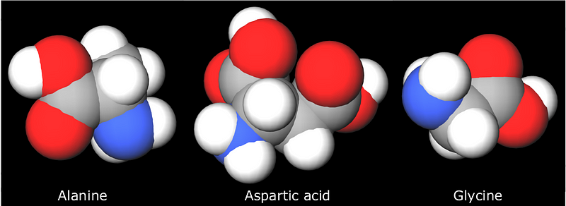 Amino acids produced in Miller's experiment