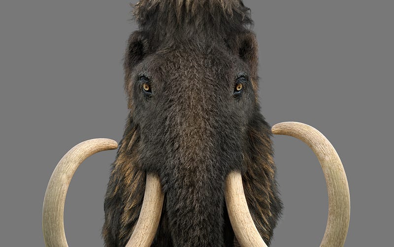 Artwork of a woolly mammoth