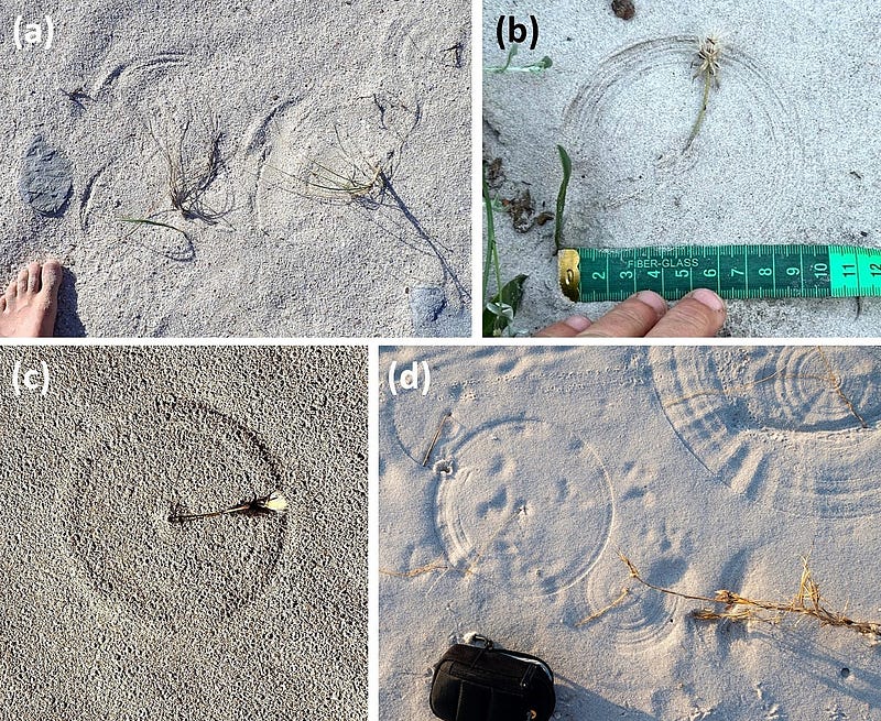 Scratch circles and arcs on dune surfaces