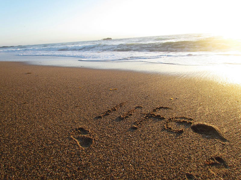 Footprints in the sands of time